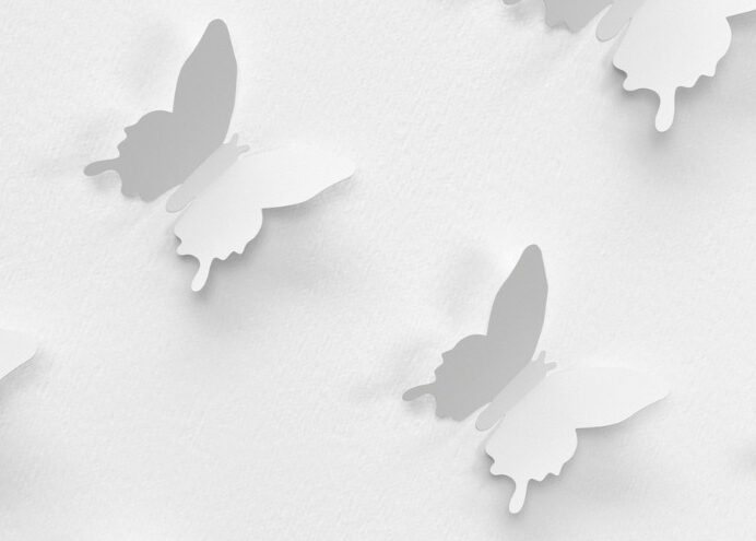 Statistics_about_butterflies_England_and_UK_white_butterflies