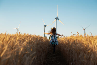 Decorative image - corn field wind turbines