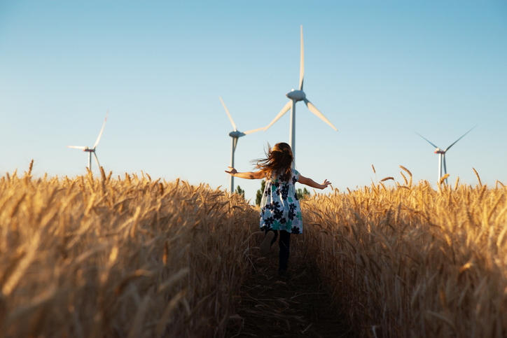Decorative image - corn field wind turbines