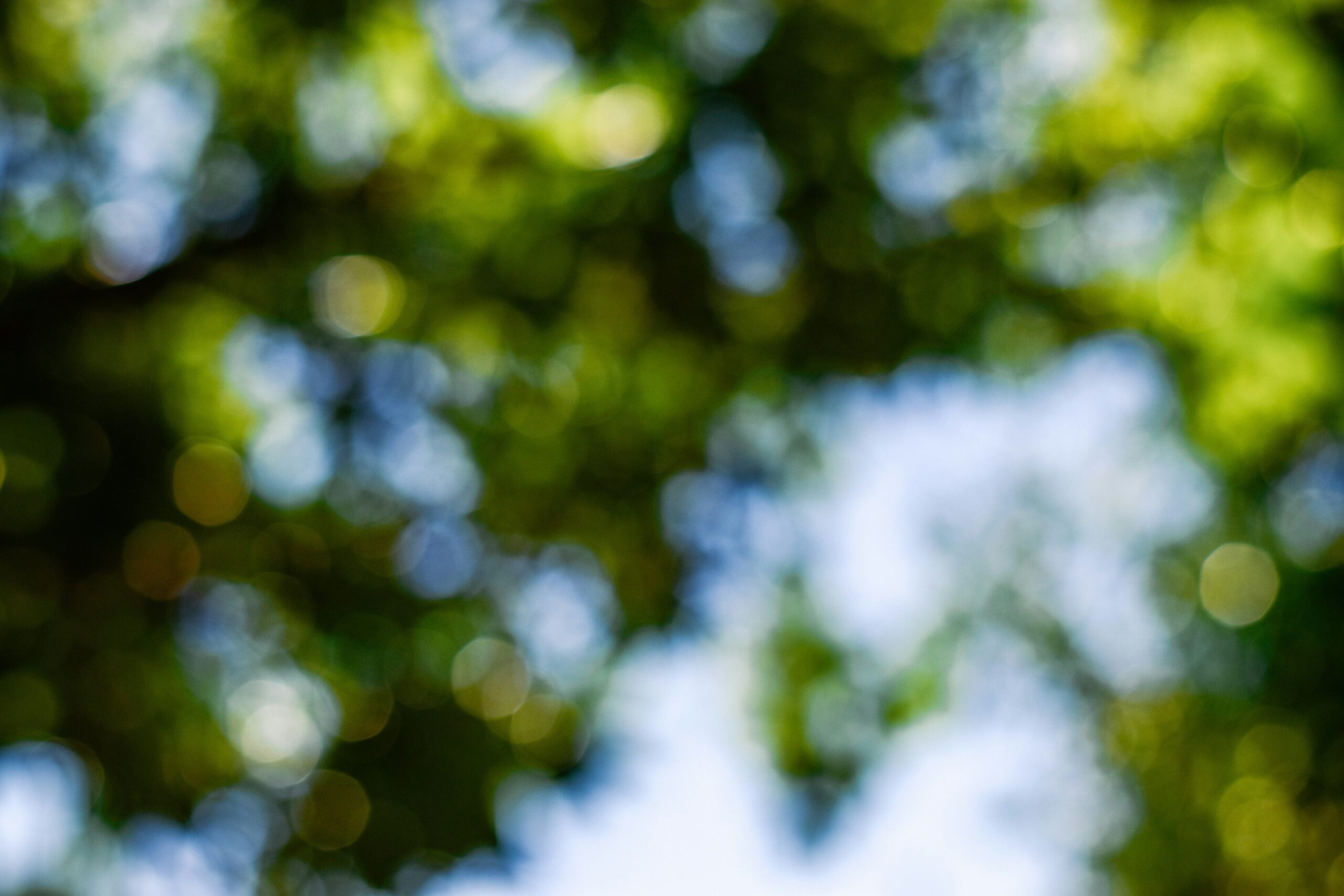 Photo-Abyan-Athif- Unsplash-trees-sky