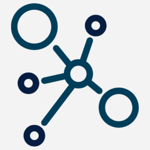 circles connected by a network of lines